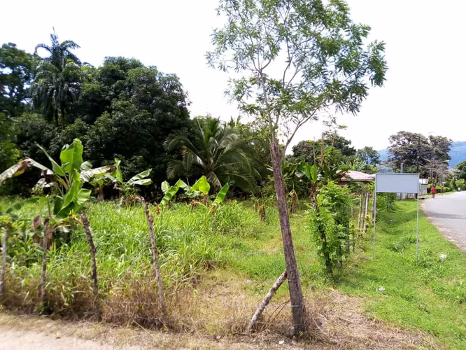 Venta de Terreno en el centro de Ciudad Cortés, Osa, Puntarenas