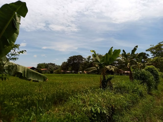 Venta de Terreno en el centro de Ciudad Cortés, Osa, Puntarenas