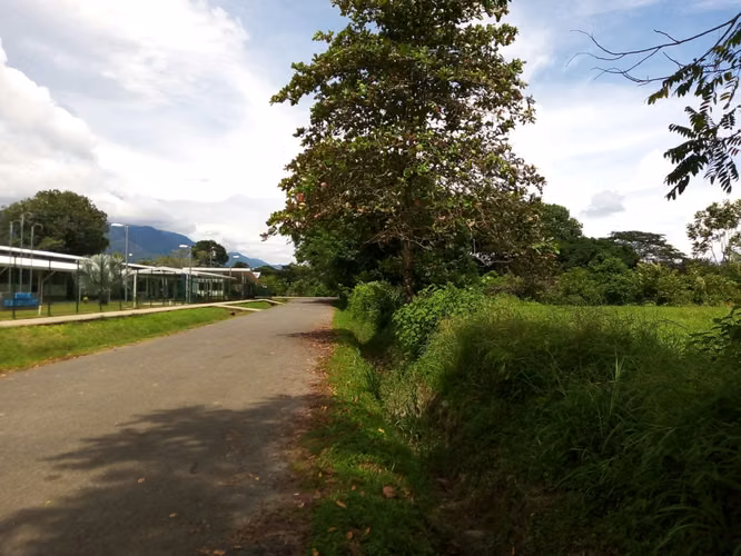 Venta de Terreno en el centro de Ciudad Cortés, Osa, Puntarenas