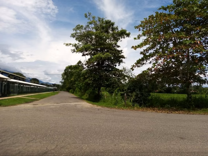 Venta de Terreno en el centro de Ciudad Cortés, Osa, Puntarenas