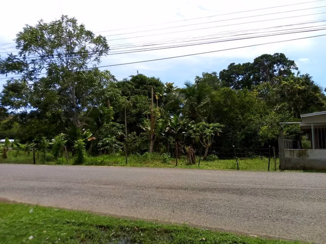 Venta de Terreno en el centro de Ciudad Cortés, Osa, Puntarenas