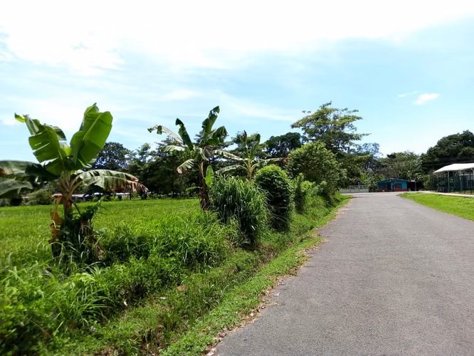 Venta de Terreno en el centro de Ciudad Cortés, Osa, Puntarenas