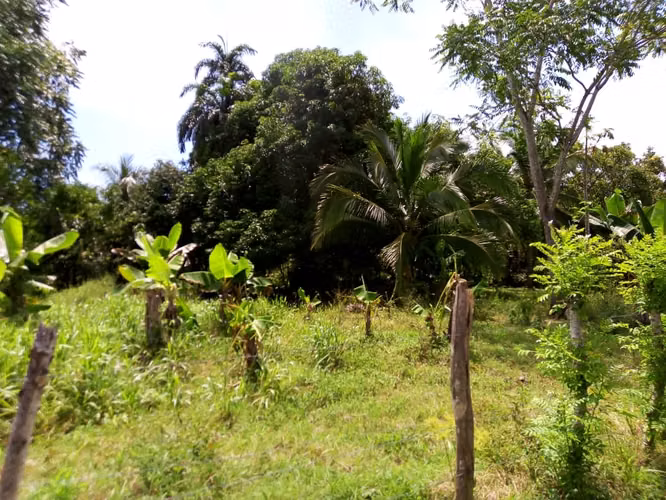 Venta de Terreno en el centro de Ciudad Cortés, Osa, Puntarenas