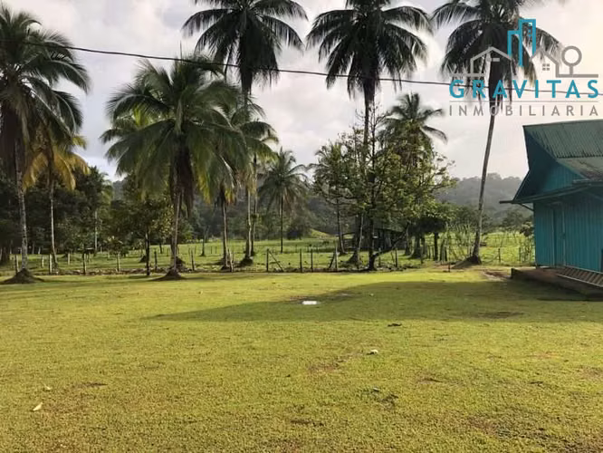 Finca ganadera en venta en Pital, 630 hectáreas ID 1904 - Imagen 3
