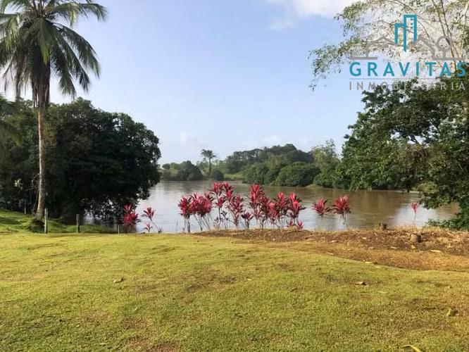 Finca ganadera en venta en Pital, 630 hectáreas ID 1904 - Imagen 11