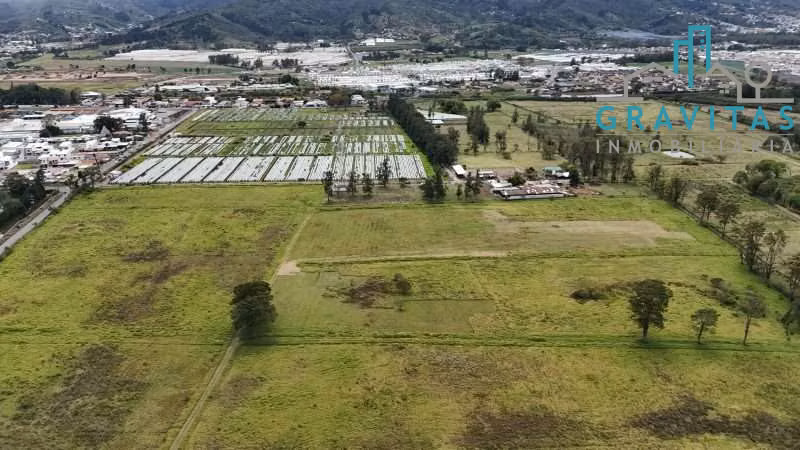 Venta de finca en Cartago para desarrollo 12.85 Hectáreas ID 1903
