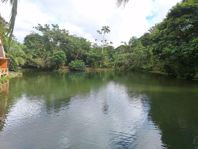 Preciosa Finca. 64.000M2. Sarapiqui.