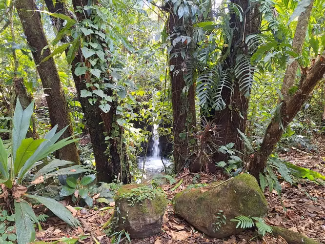 Preciosa Finca. 64.000M2. Sarapiqui.