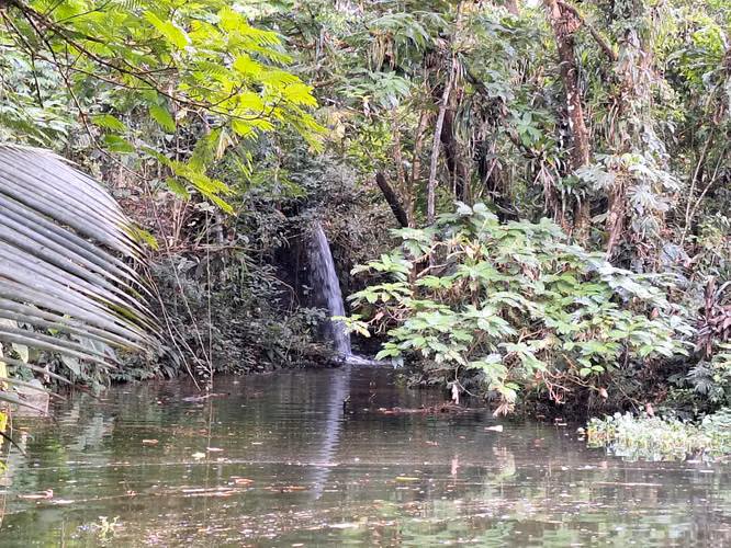 Preciosa Finca. 64.000M2. Sarapiqui.