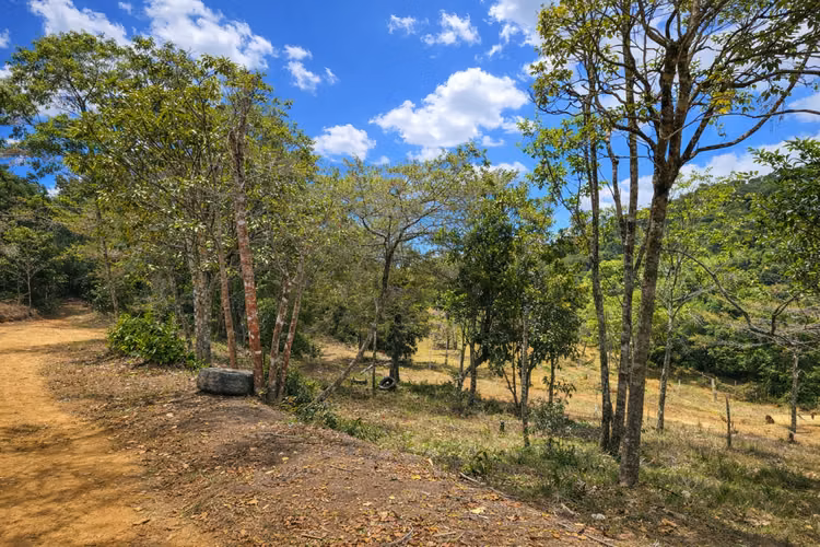 Activo Turístico–Comercial en la Zona de Los Santos con Alto Potencial de Desarrollo