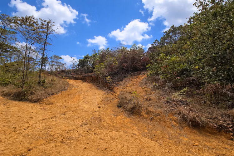 Activo Turístico–Comercial en la Zona de Los Santos con Alto Potencial de Desarrollo