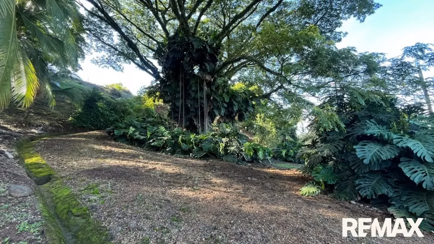 Quinta en venta Orotina - Imagen 6