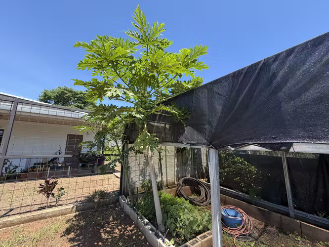 Impecable casa en Venta - Tarcoles . Puntarenas.