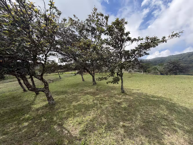 Lote en Venta - Montañas de San Ramon.