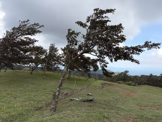 Lote en Venta - Montañas de San Ramon.