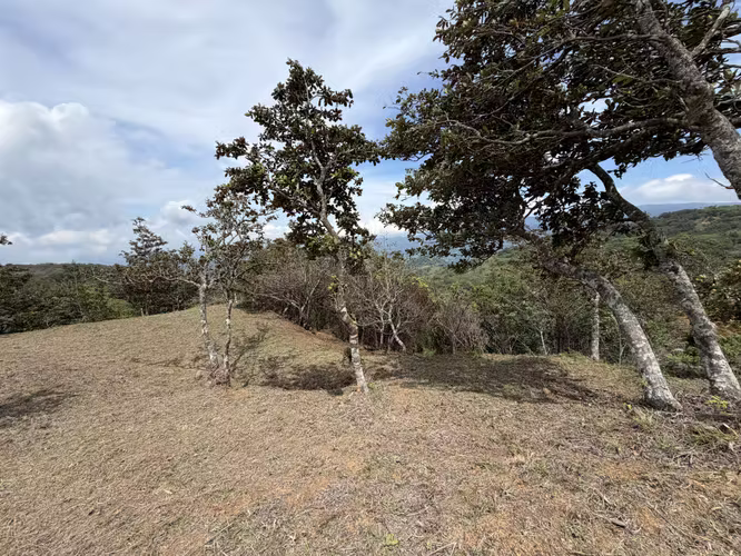 Lote en Venta - Montañas de San Ramon.