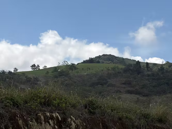 Lote en Venta - Montañas de San Ramon.