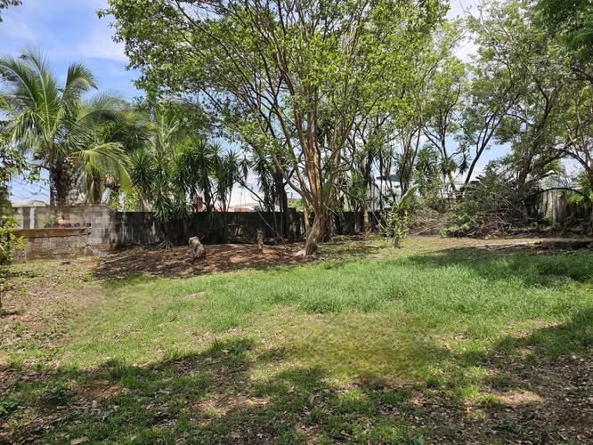 Finca Uso Industrial en Alajuela central, Alajuela - Imagen 5