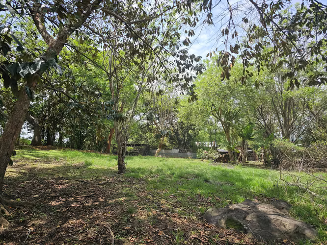 Finca Uso Industrial en Alajuela central, Alajuela - Imagen 3