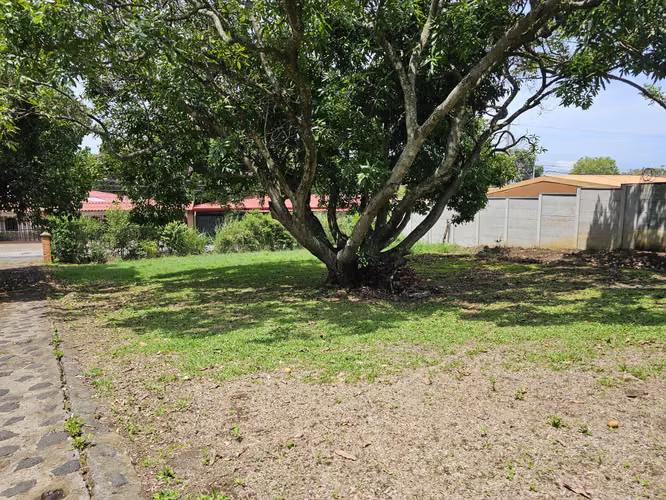 Finca Uso Industrial en Alajuela central, Alajuela - Imagen 10