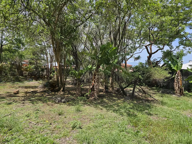 Finca Uso Industrial en Alajuela central, Alajuela - Imagen 4
