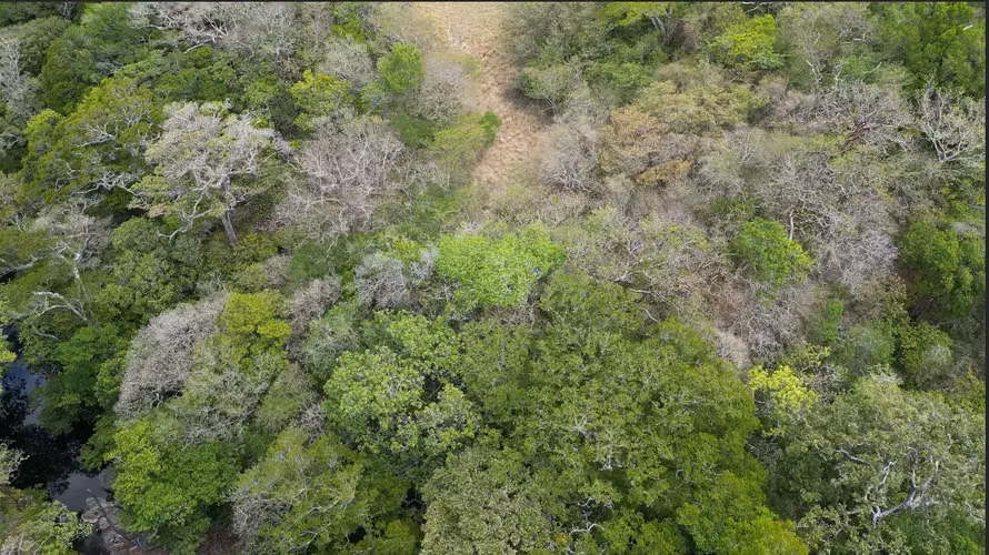 Terreno en venta en Liberia, Guanacaste - Imagen 12