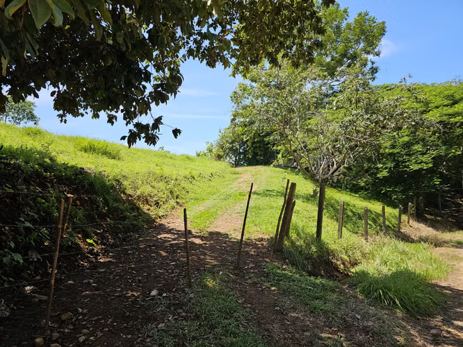 Finca con Financiamiento propio en Quinta Esencia, Esparza, Puntarenas - Imagen 6