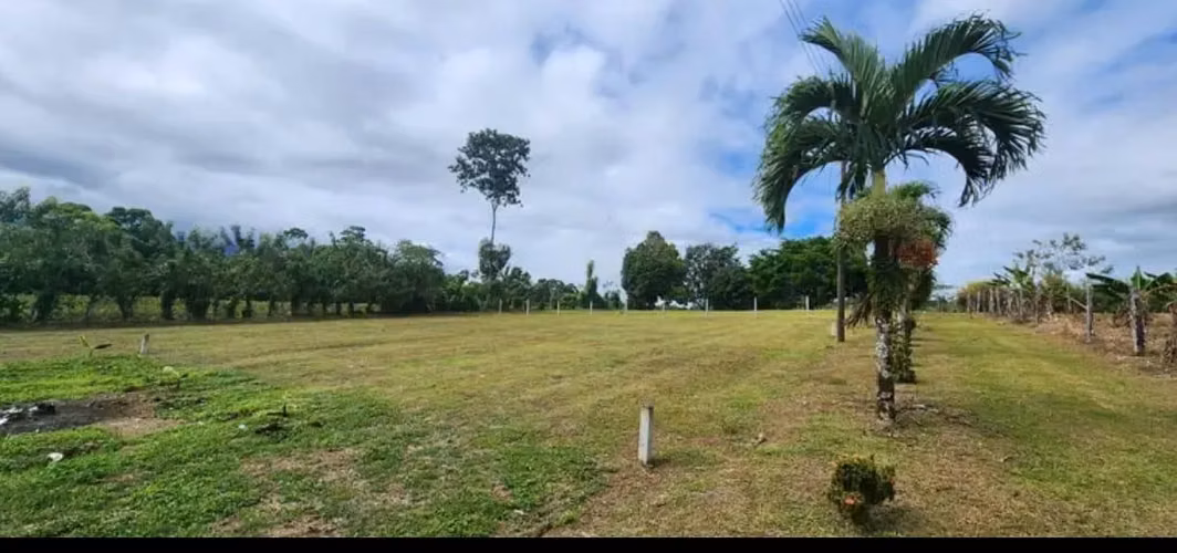 Terreno en Aguas Zarcas, San Carlos, Alajuela - Imagen 7