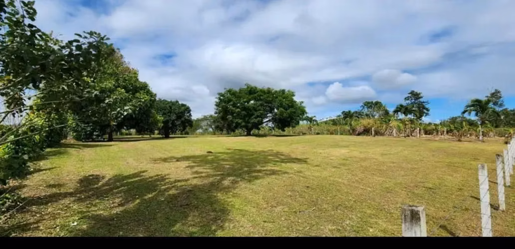 Terreno en Aguas Zarcas, San Carlos, Alajuela - Imagen 8