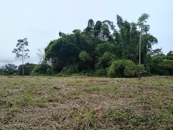 Finca de 1 Hectárea en Horquetas de Sarapiquí, Heredia - Imagen 11