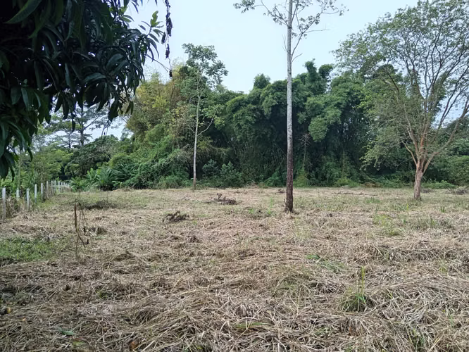 Finca de 1 Hectárea en Horquetas de Sarapiquí, Heredia - Imagen 6