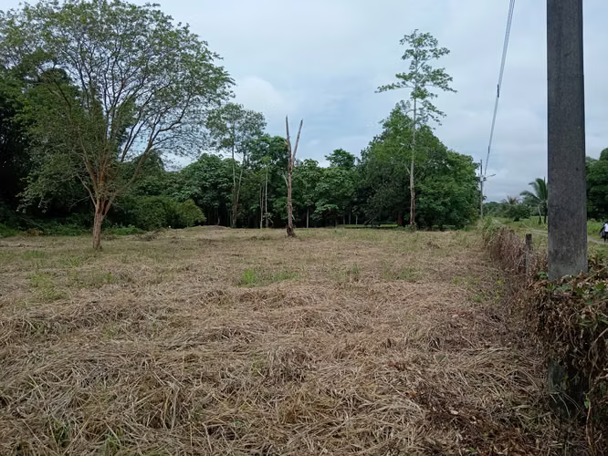 Finca de 1 Hectárea en Horquetas de Sarapiquí, Heredia - Imagen 4