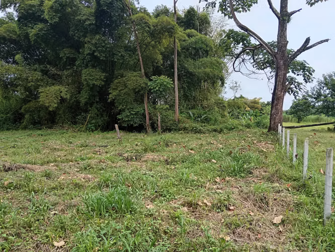 Finca de 1 Hectárea en Horquetas de Sarapiquí, Heredia - Imagen 14