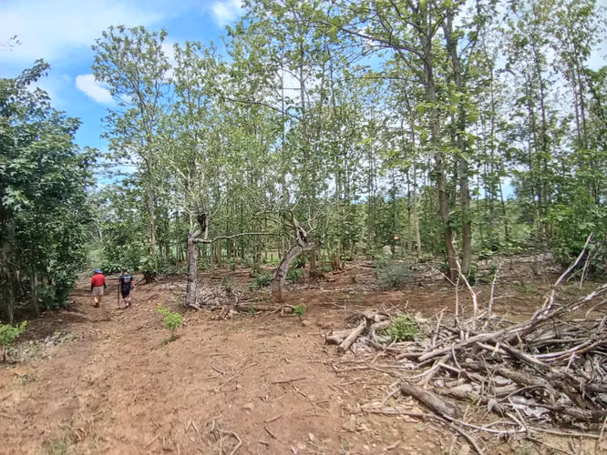 VENTA DE FINCA EN ESPARZA, ESPIRITU SANTO, PUNTARENAS