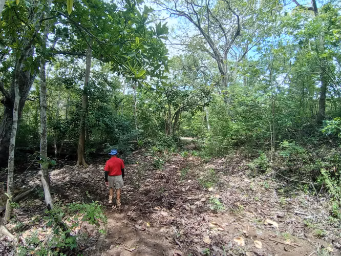 VENTA DE FINCA EN ESPARZA, ESPIRITU SANTO, PUNTARENAS
