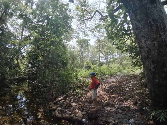 VENTA DE FINCA EN ESPARZA, ESPIRITU SANTO, PUNTARENAS