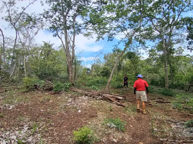 VENTA DE FINCA EN ESPARZA, ESPIRITU SANTO, PUNTARENAS