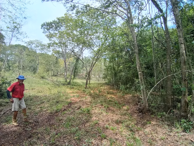VENTA DE FINCA EN ESPARZA, ESPIRITU SANTO, PUNTARENAS