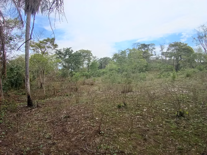 VENTA DE FINCA EN ESPARZA, ESPIRITU SANTO, PUNTARENAS