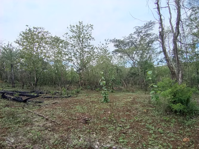 VENTA DE FINCA EN ESPARZA, ESPIRITU SANTO, PUNTARENAS