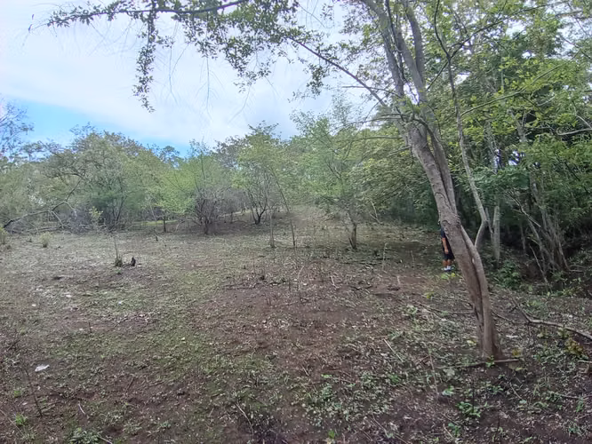 VENTA DE FINCA EN ESPARZA, ESPIRITU SANTO, PUNTARENAS