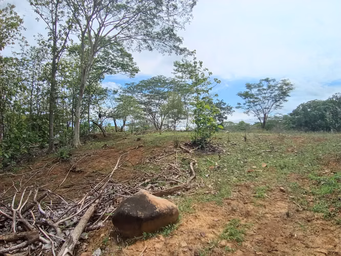 VENTA DE FINCA EN ESPARZA, ESPIRITU SANTO, PUNTARENAS