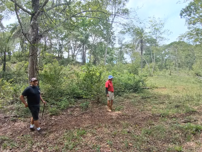 VENTA DE FINCA EN ESPARZA, ESPIRITU SANTO, PUNTARENAS