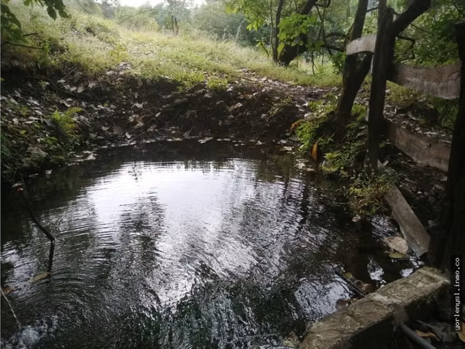 Venta de Finca Miramar- Puntarenas