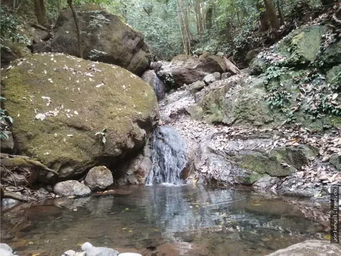 Venta de Finca Miramar- Puntarenas