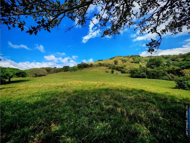 Venta de Finca Miramar- Puntarenas