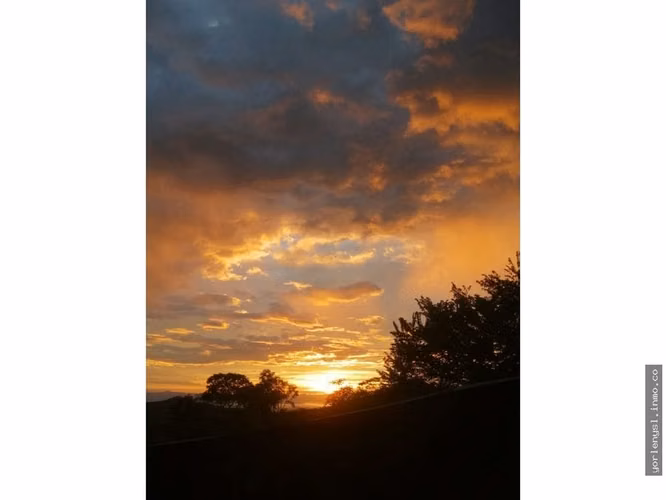 Venta de Finca Miramar- Puntarenas