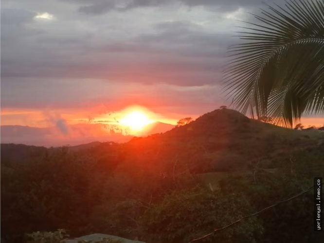 Venta de Finca Miramar- Puntarenas