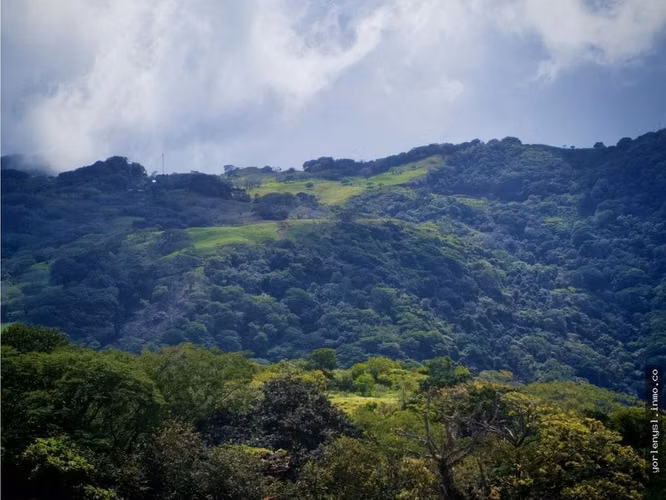 Venta de Finca Miramar- Puntarenas