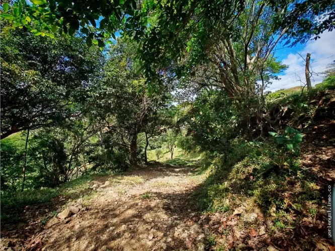 Venta de Finca Miramar- Puntarenas